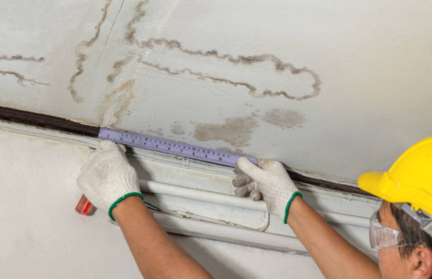 Reliable Flood Cleanup contractor in Buxton, OR by Water Damage Irwin